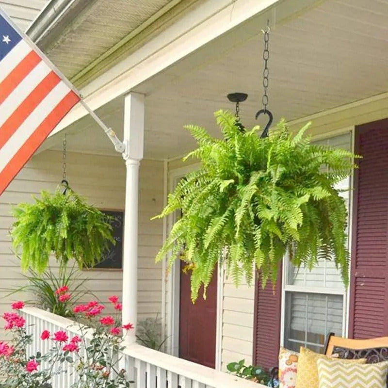 Large, Illuminated Artificial Boston Fern
