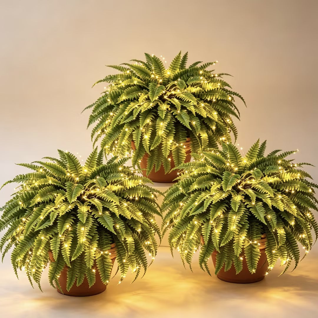 Large, Illuminated Artificial Boston Fern