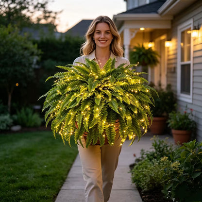 Large, Illuminated Artificial Boston Fern