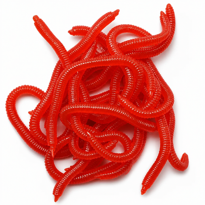 ✨✨ shrimp-flavored soft lure (earthworm style)